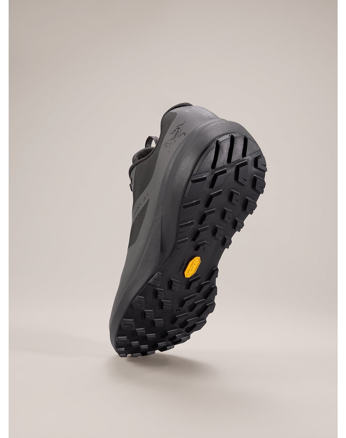 Norvan LD 3 GTX Shoe - 4