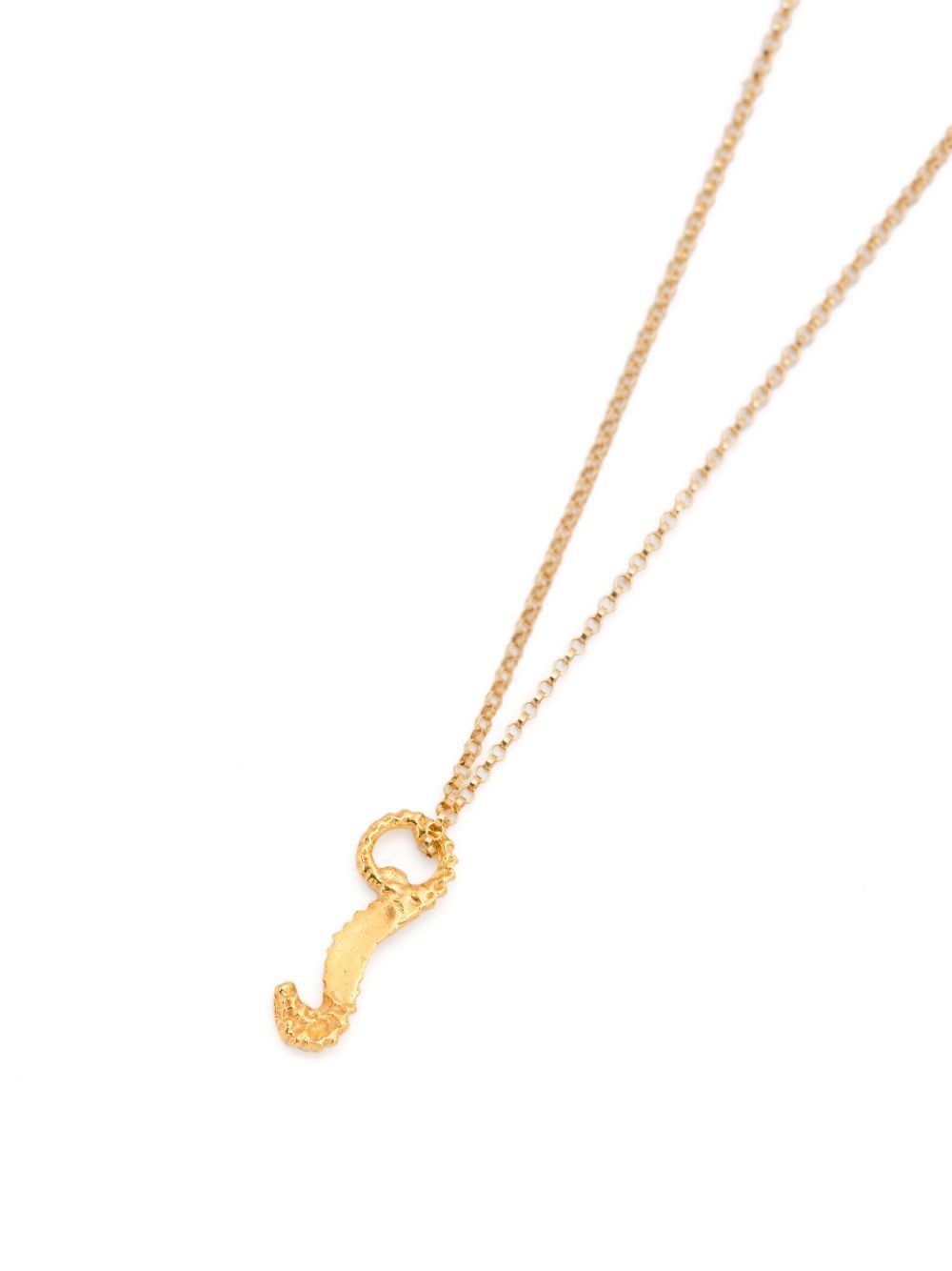 Elusive Dreamer necklace - 3