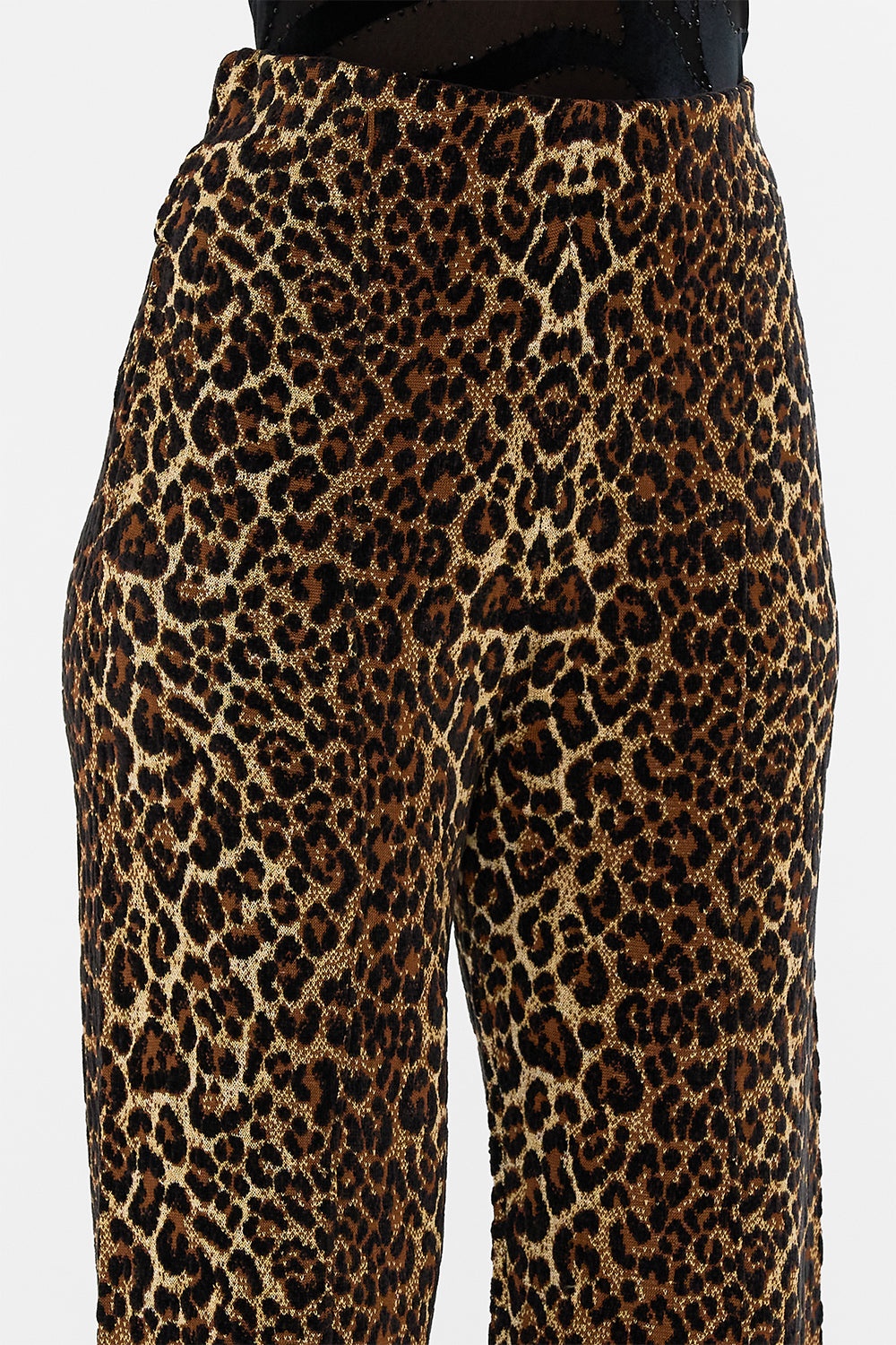 JACQUARD STRAIGHT LEG KNIT PANT - 6