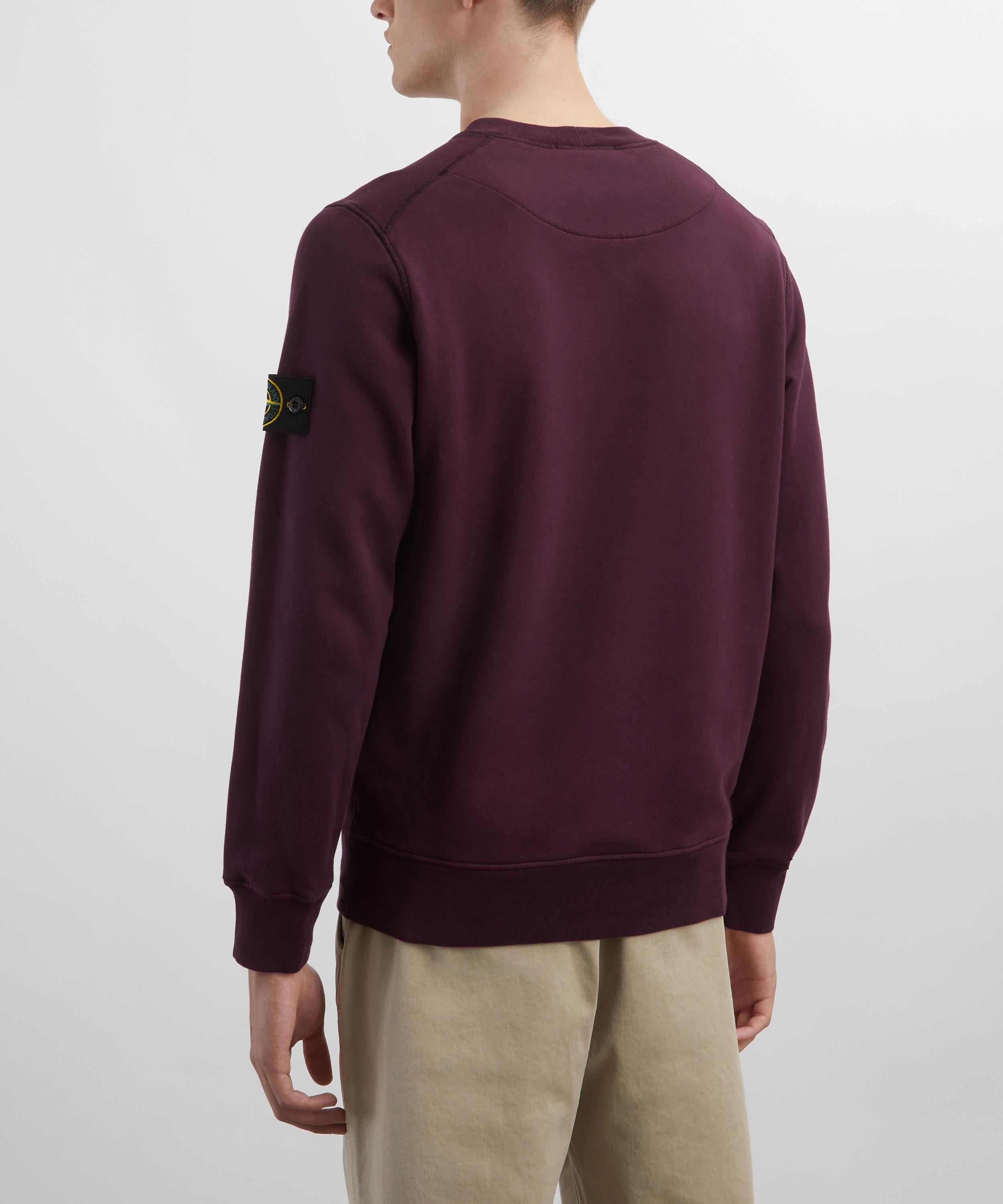 Cotton Fleece Crew-Neck Sweatshirt - 4