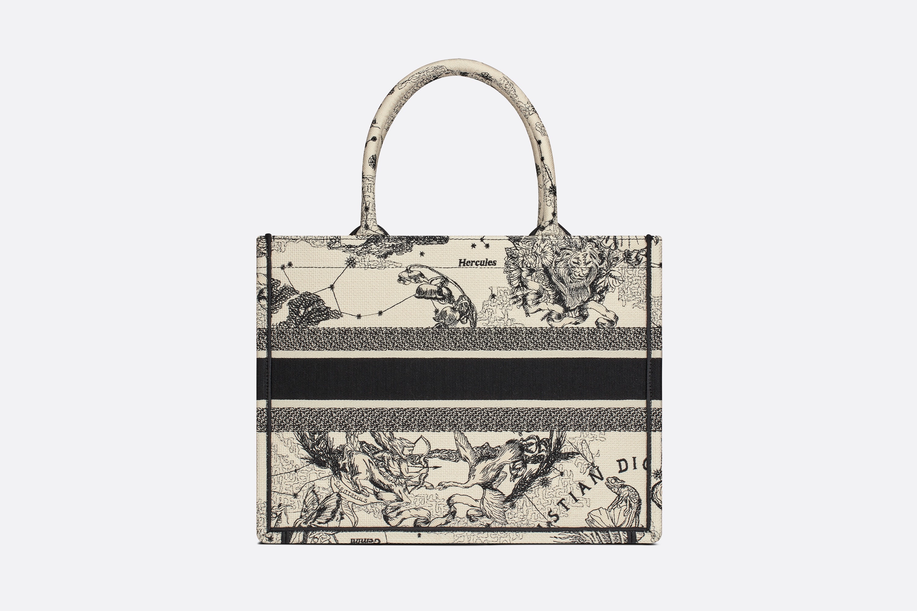 [CHRISTIAN DIOR]★MEDIUM BOOK TOTE BAG Dior Book Tote | DIOR