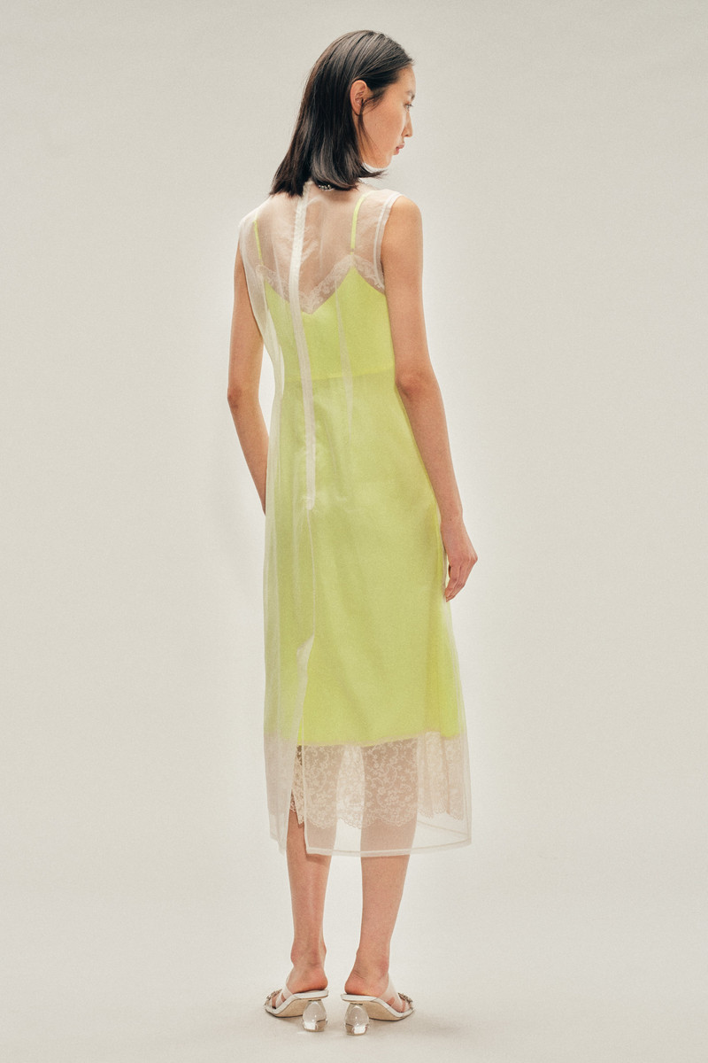 Embellished Sheer Frayed Contour Dart Dress 3