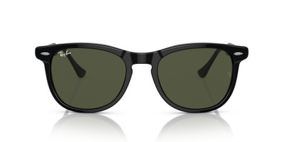 Ray-Ban EAGLE EYE outlook