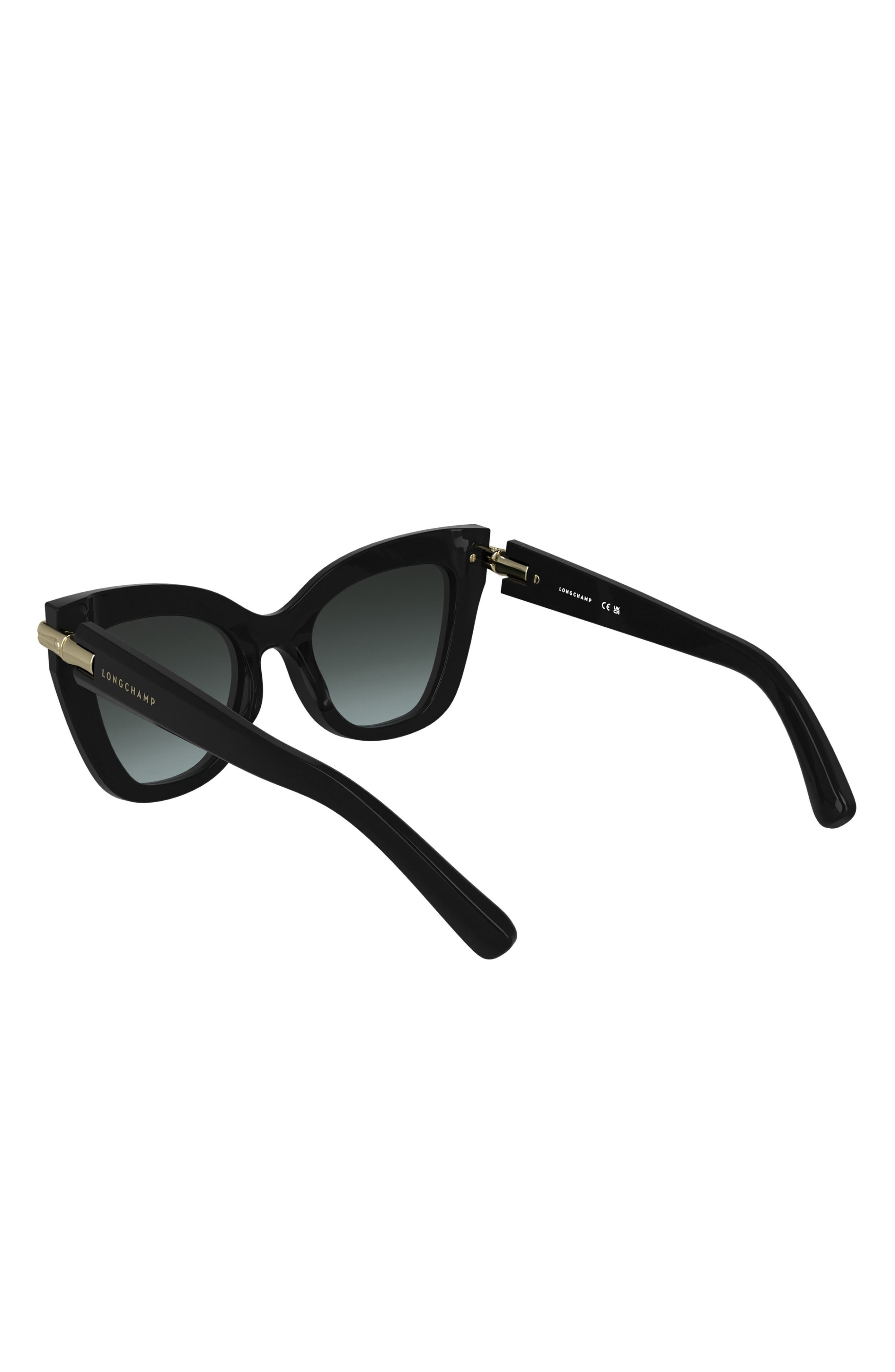 Longchamp Roseau 50mm Gradient Cat Eye Sunglasses in Black at Nordstrom - 5