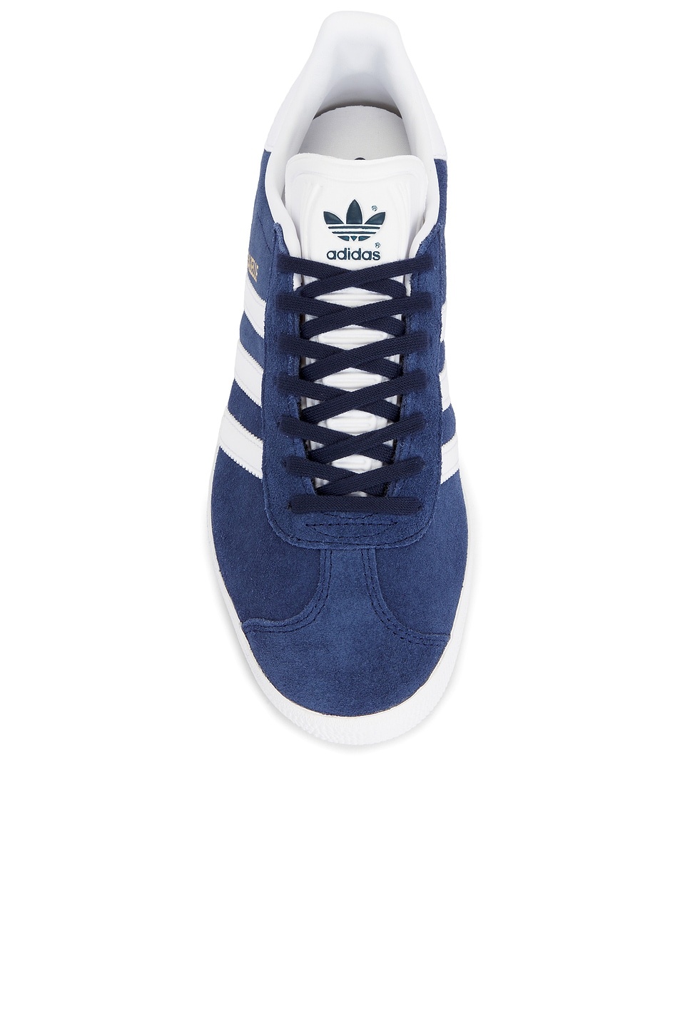 Gazelle - 4