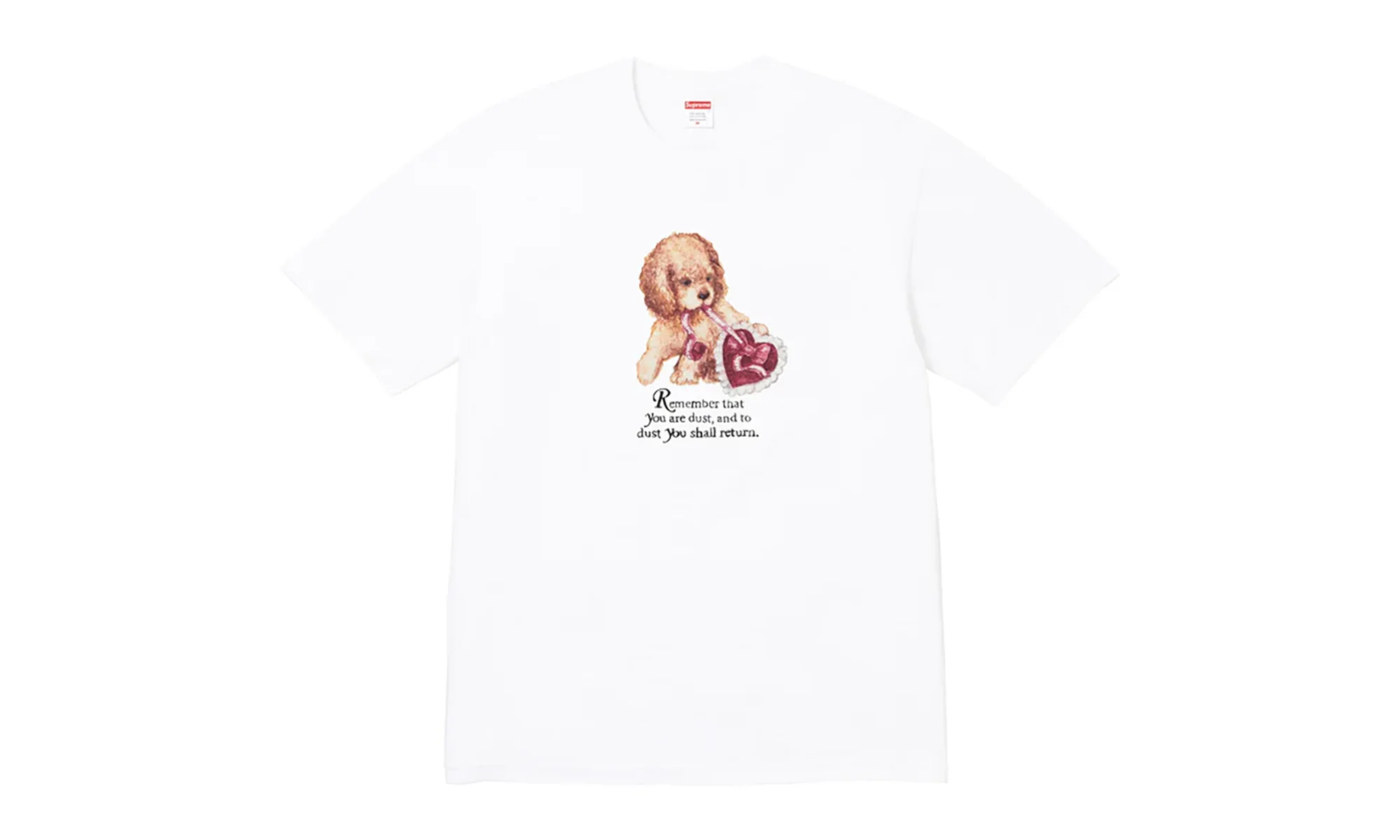 Dust Tee "FW25 - White" SU26817 - 1