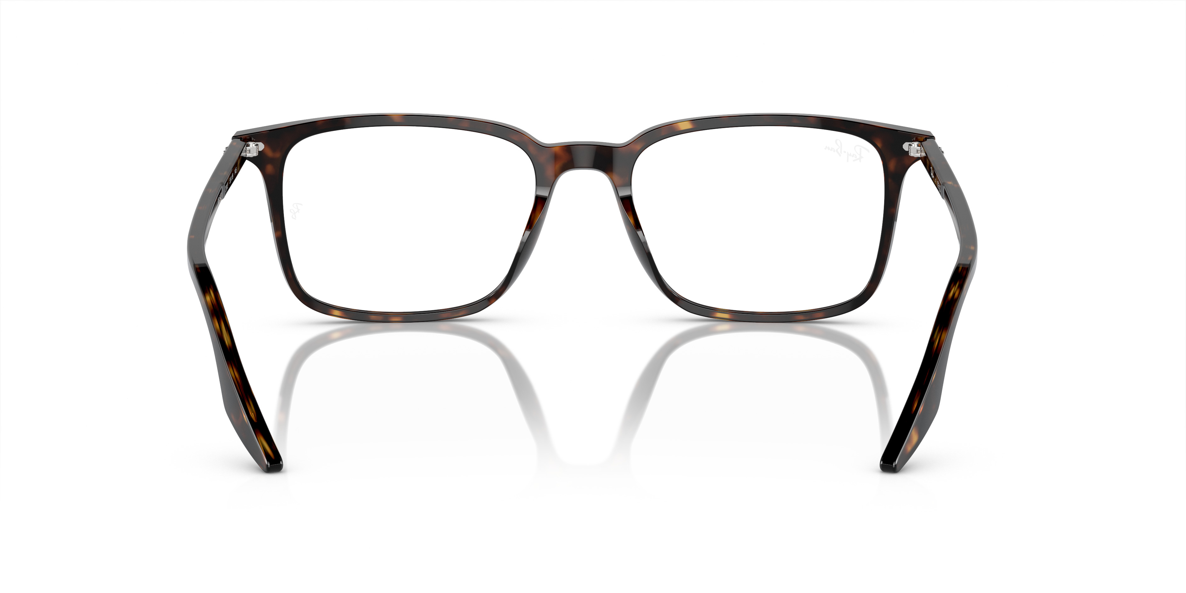 RB5421 OPTICS - 6