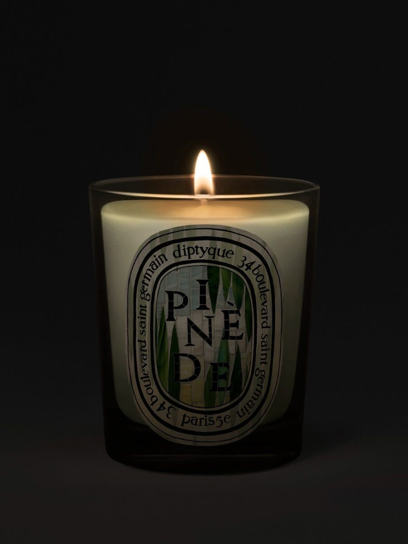 Diptyque Pinède (Pine Grove) - Classic Candle outlook