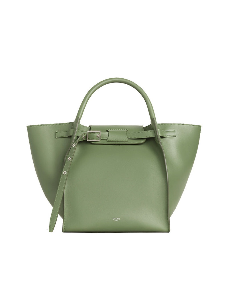 Small Big Bag with Long Strap in Smooth Calfskin in Light Khaki 1