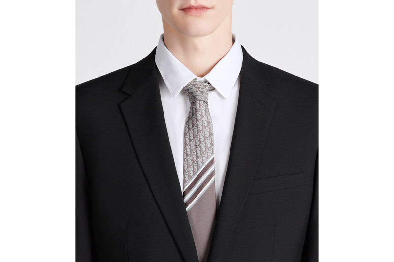 Striped Dior Oblique Tie 4