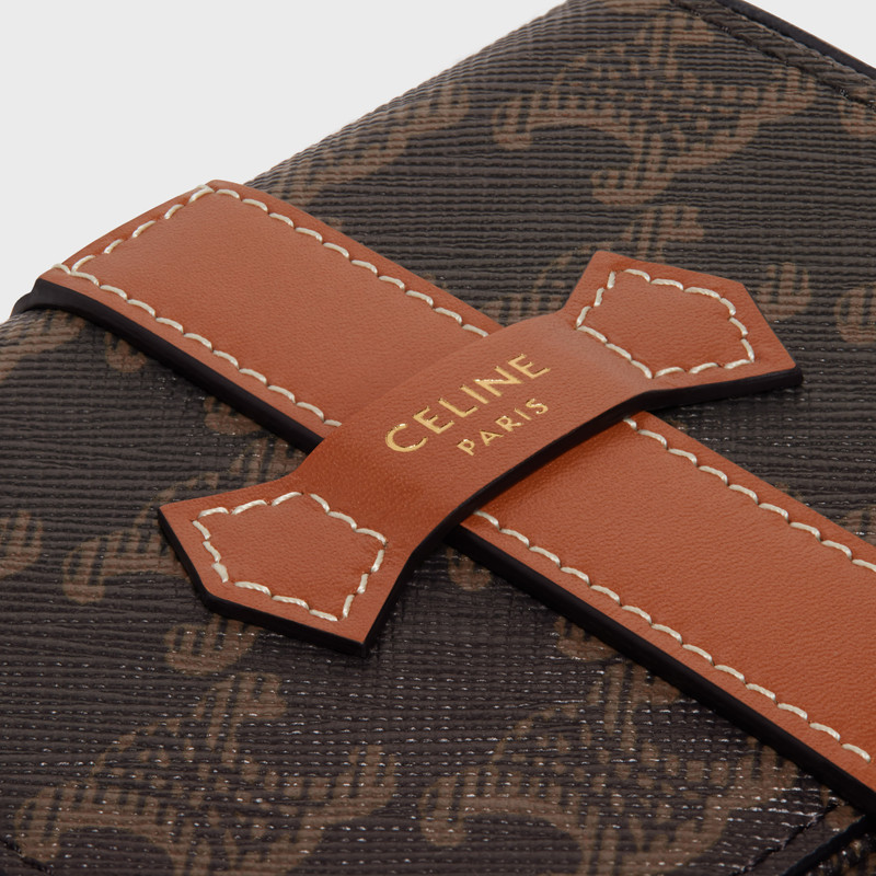 Small Jewels Case in Triomphe Canvas and Calfskin 4