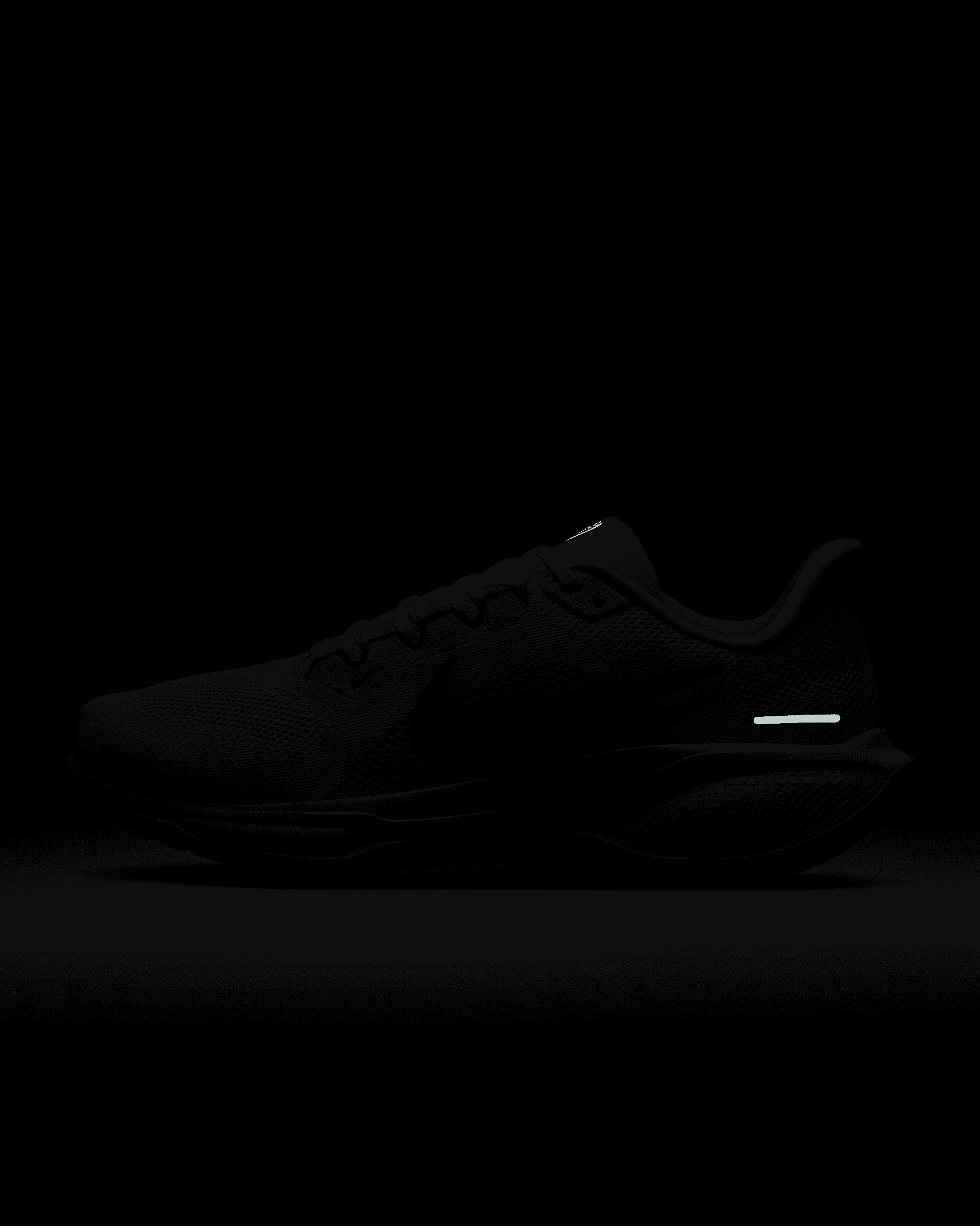 Nike Pegasus 41 Men's Road Running Shoes - 10