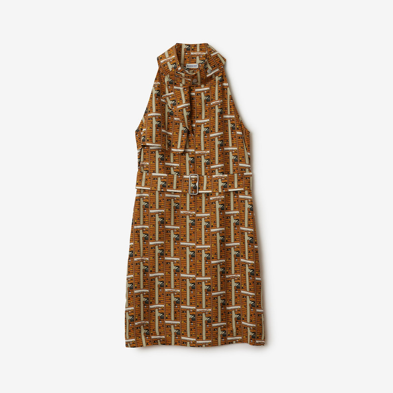 Bus Silk Dress 1