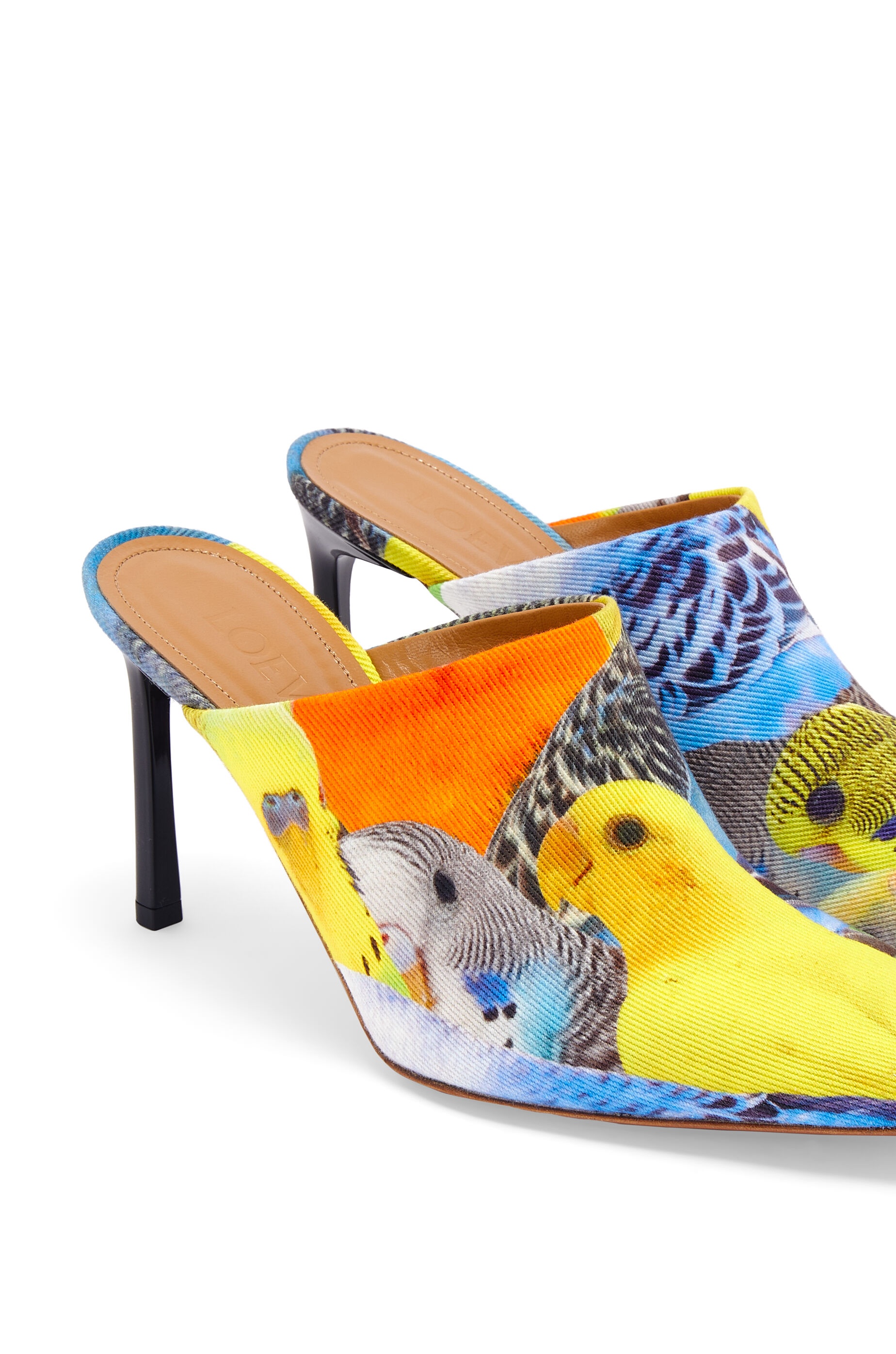 Parrots mule in canvas - 4