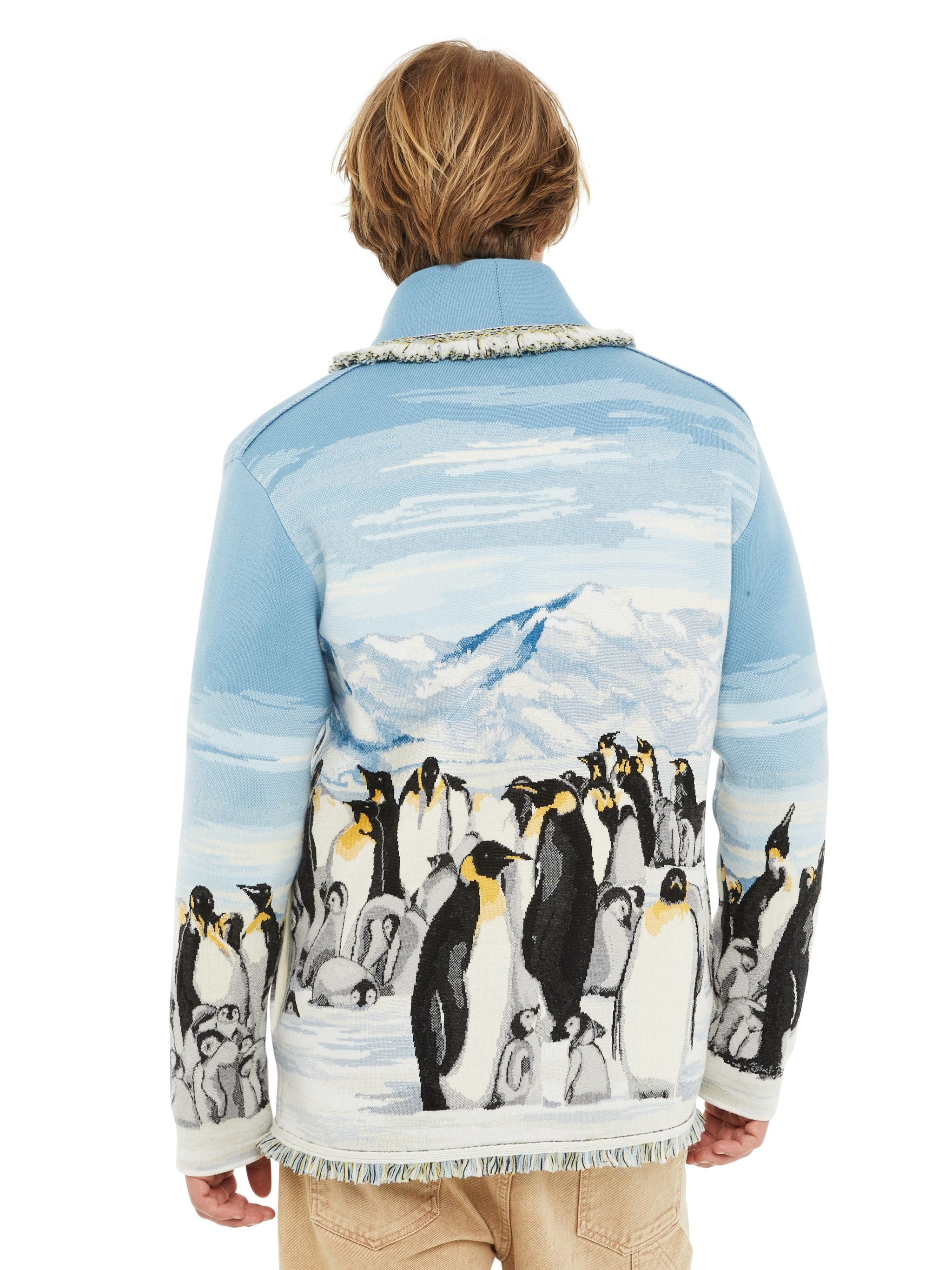 Postcard From Antarctic Cardi - 8