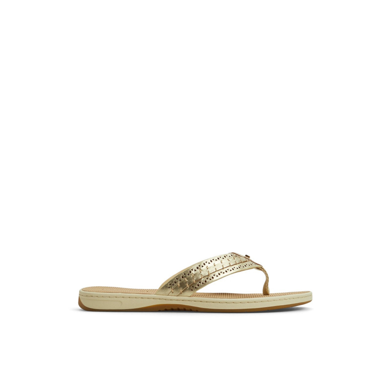 SPERRY Seafish 3 Flip Flop Sandal outlook