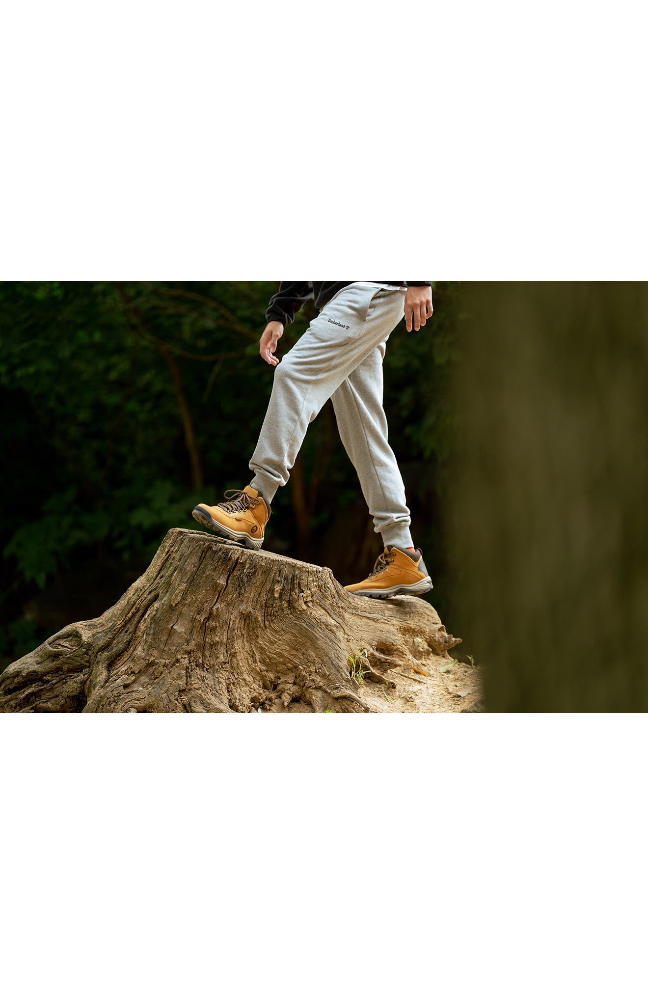Timberland White Ledge Waterproof Hiking Boot (Men) in Wheat at Nordstrom - 6