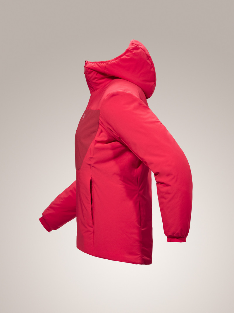 Proton Heavyweight Hoody 9