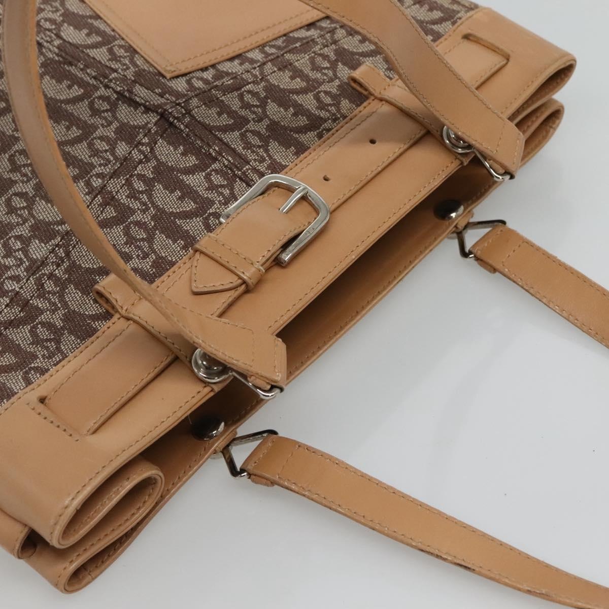 DIOR Trotter Canvas Tote Bag Brown Beige Silver - 6