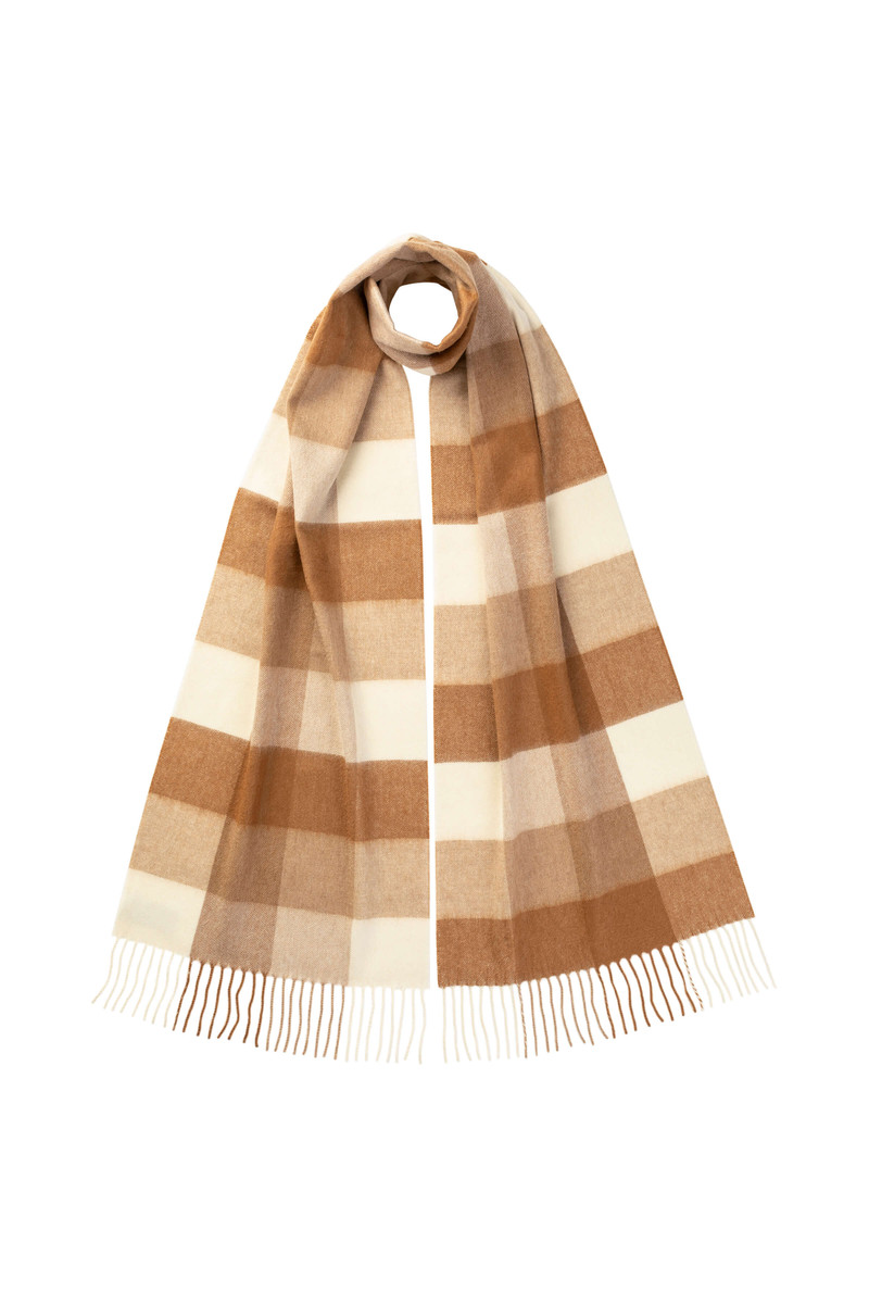 Block Check Cashmere & Vicuña Scarf 1