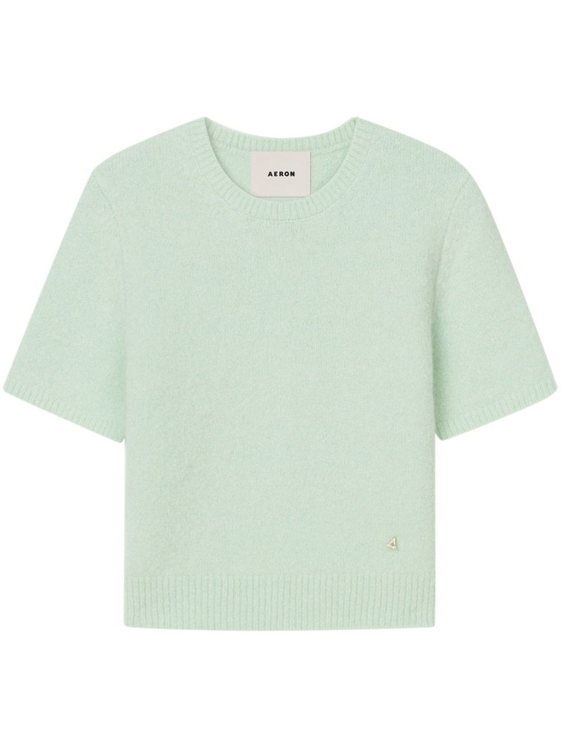 Flaky knitted top 1