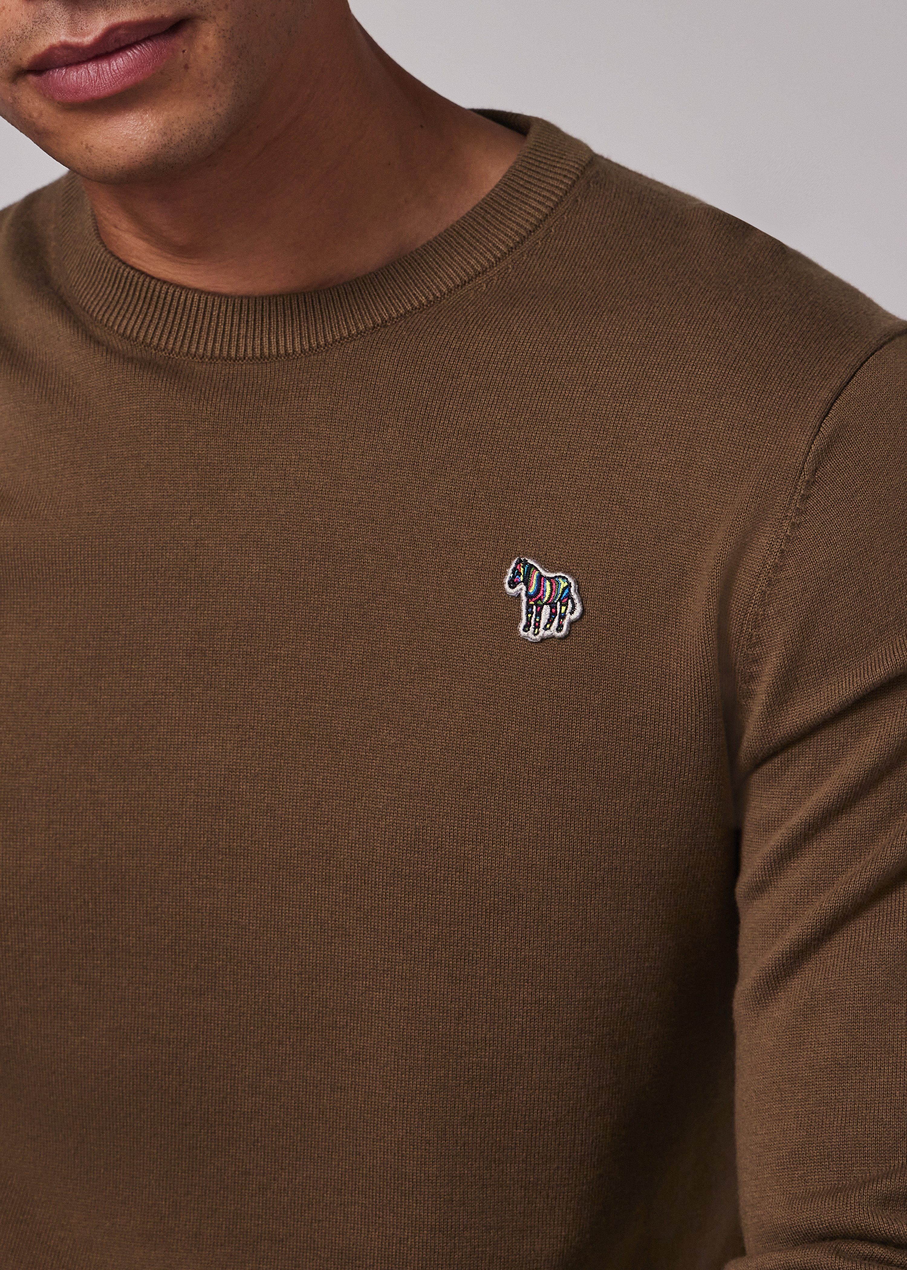 Khaki Organic Cotton Zebra Logo Sweater - 4