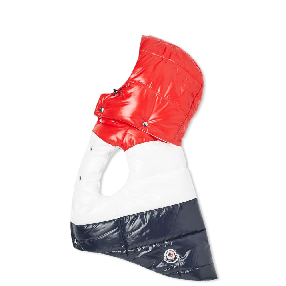 Moncler Genius x Poldo Tricolour Dog Down Jacket - 2