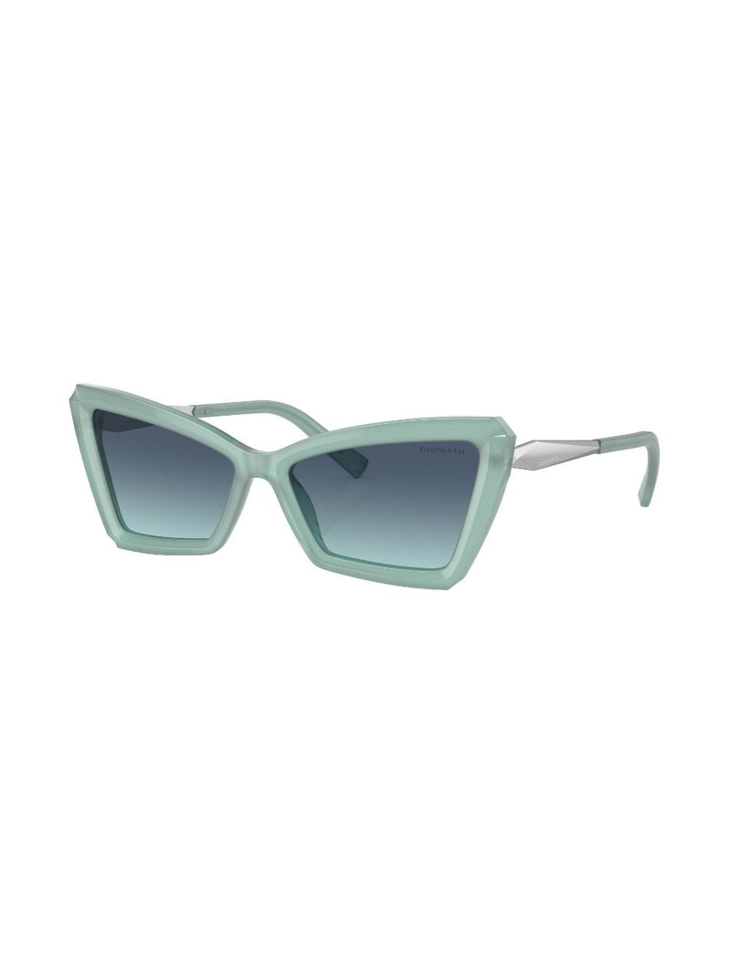 Tiffany & Co. Tiffany & Co. TF4203 outlook