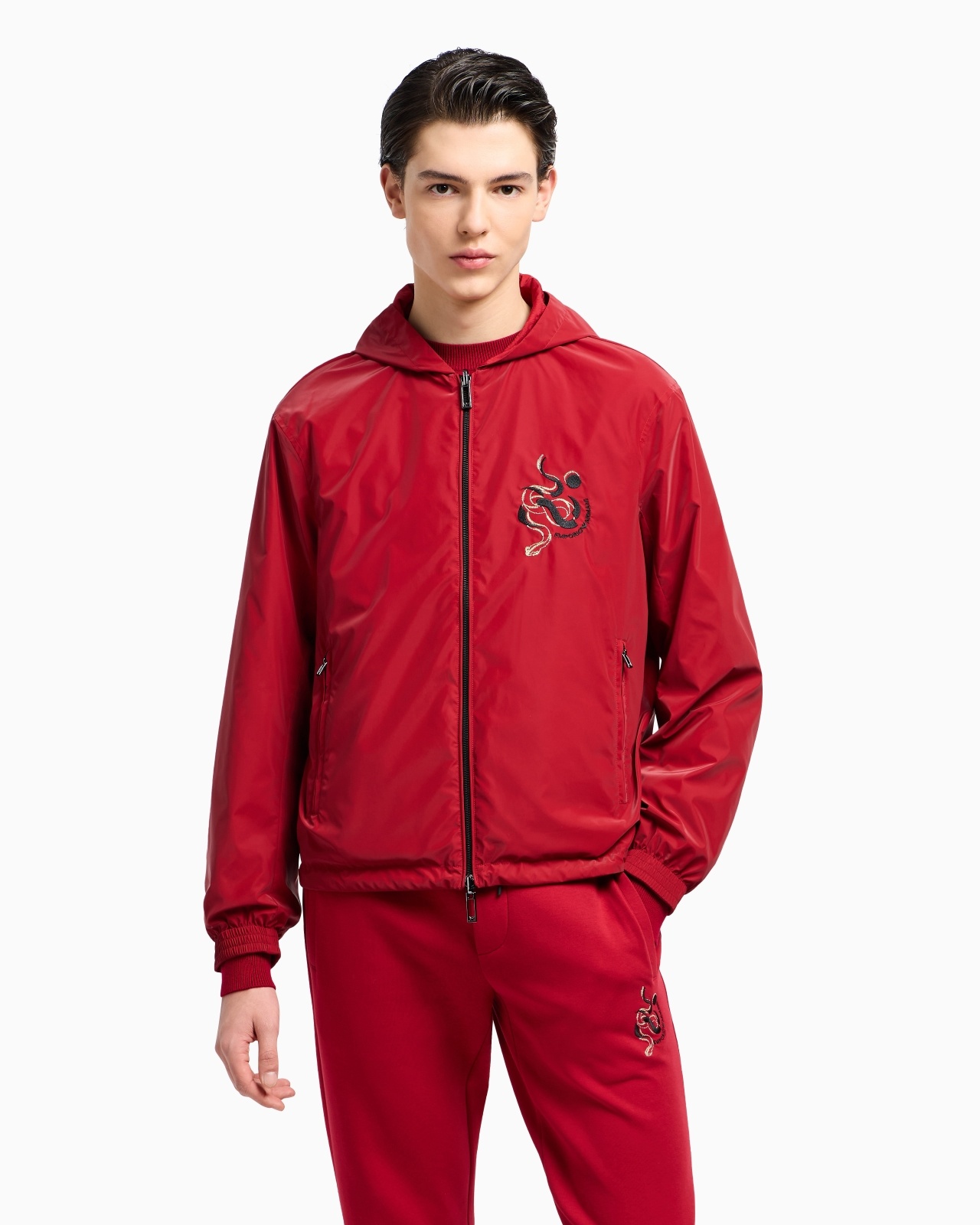 REVERSIBLE HOODED BLOUSON IN SHINY NYLON WITH LUNAR NEW YEAR EMBROIDERY - 2