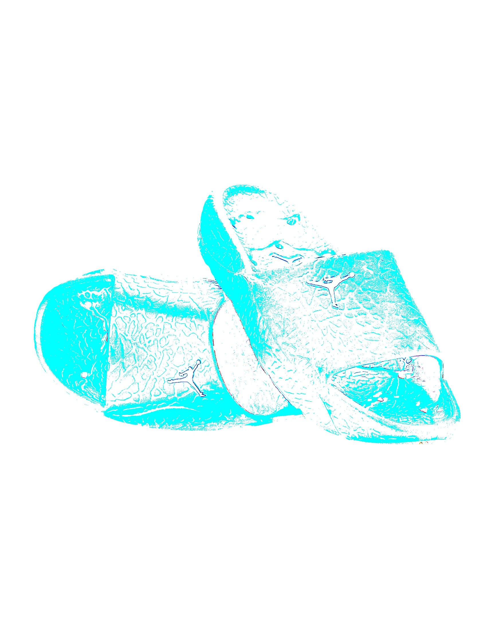 Jordan Franchise Shower Slides - 1