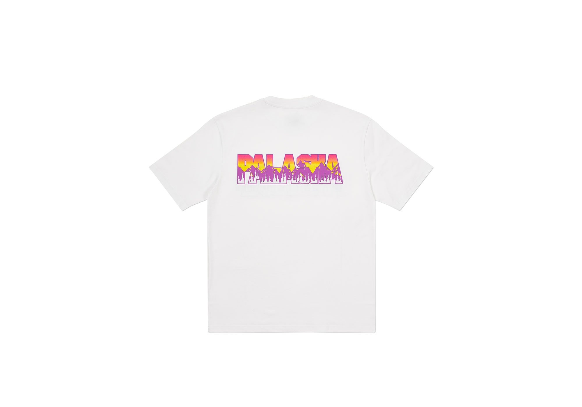 PALASKA T-SHIRT WHITE - 2