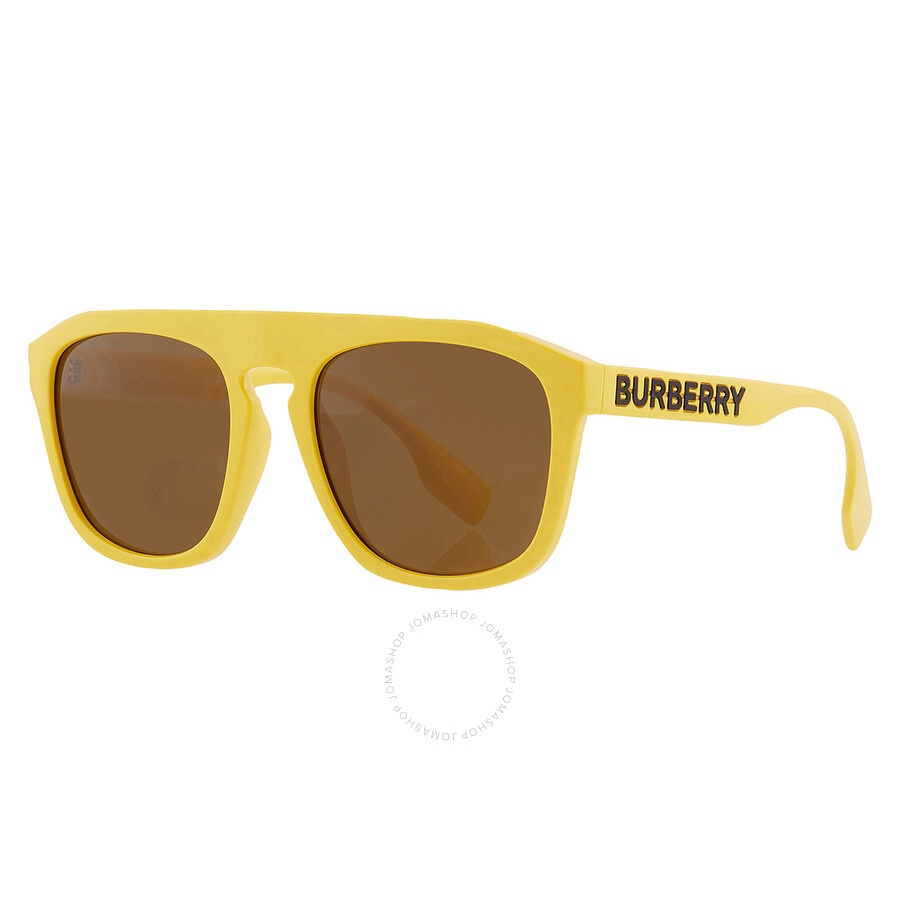 Burberry Wren Brown Browline Men's Sunglasses BE4396U 407073 57 - 5