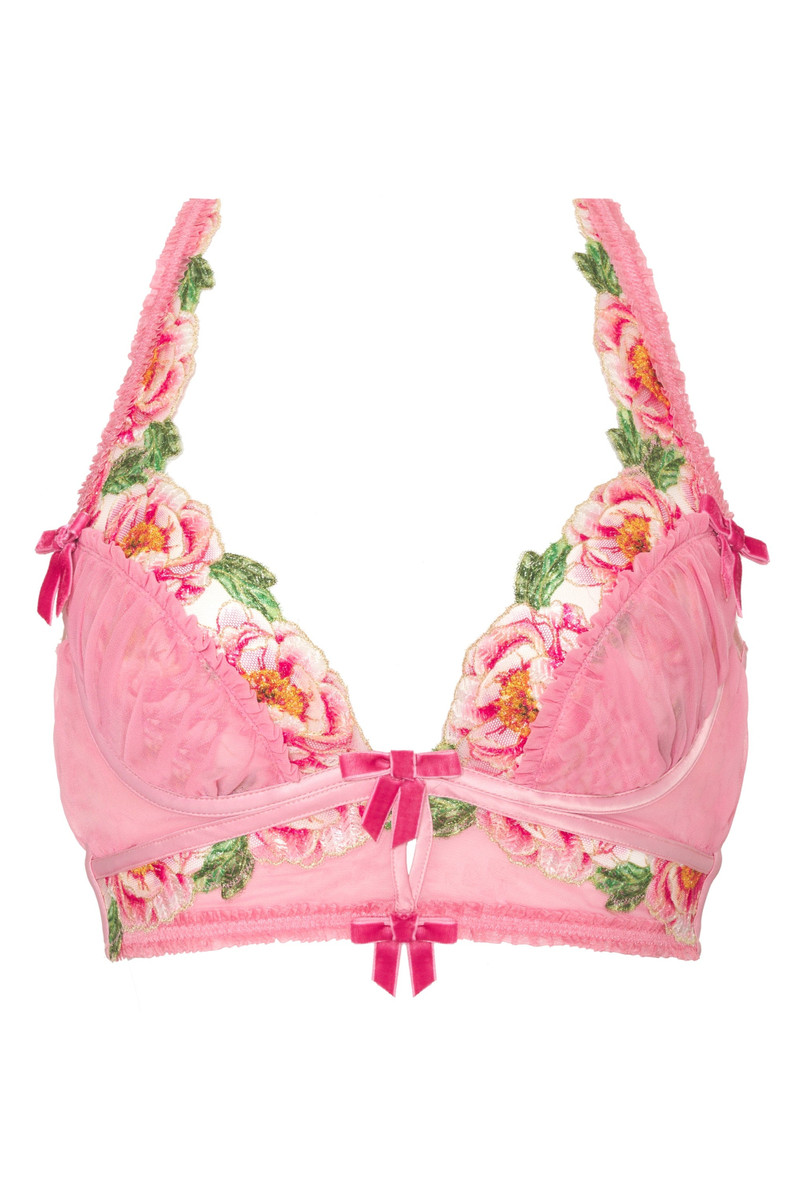 Needle Point Roses Bustier 1