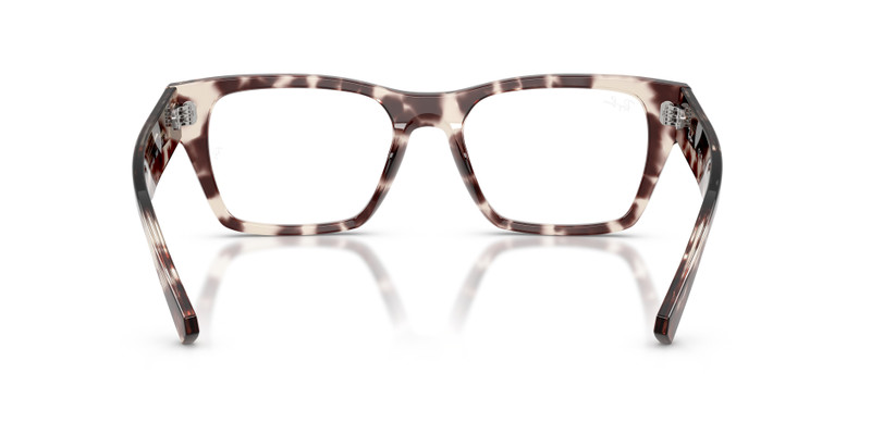 RB5448 OPTICS 7