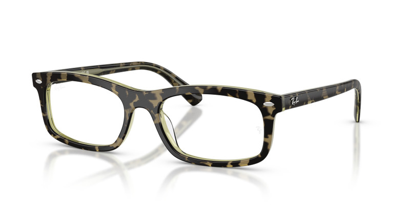 RB5450 OPTICS 1