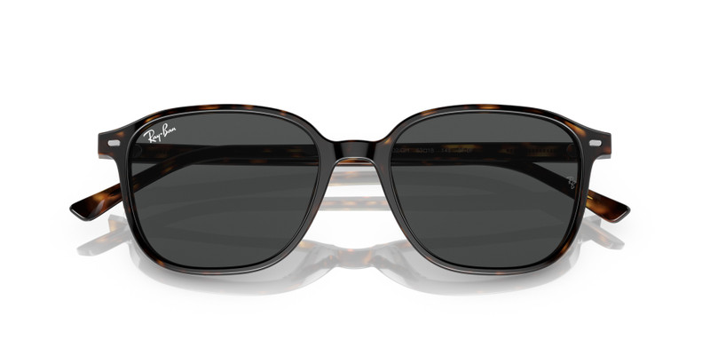 LEONARD TRANSITIONS® 10