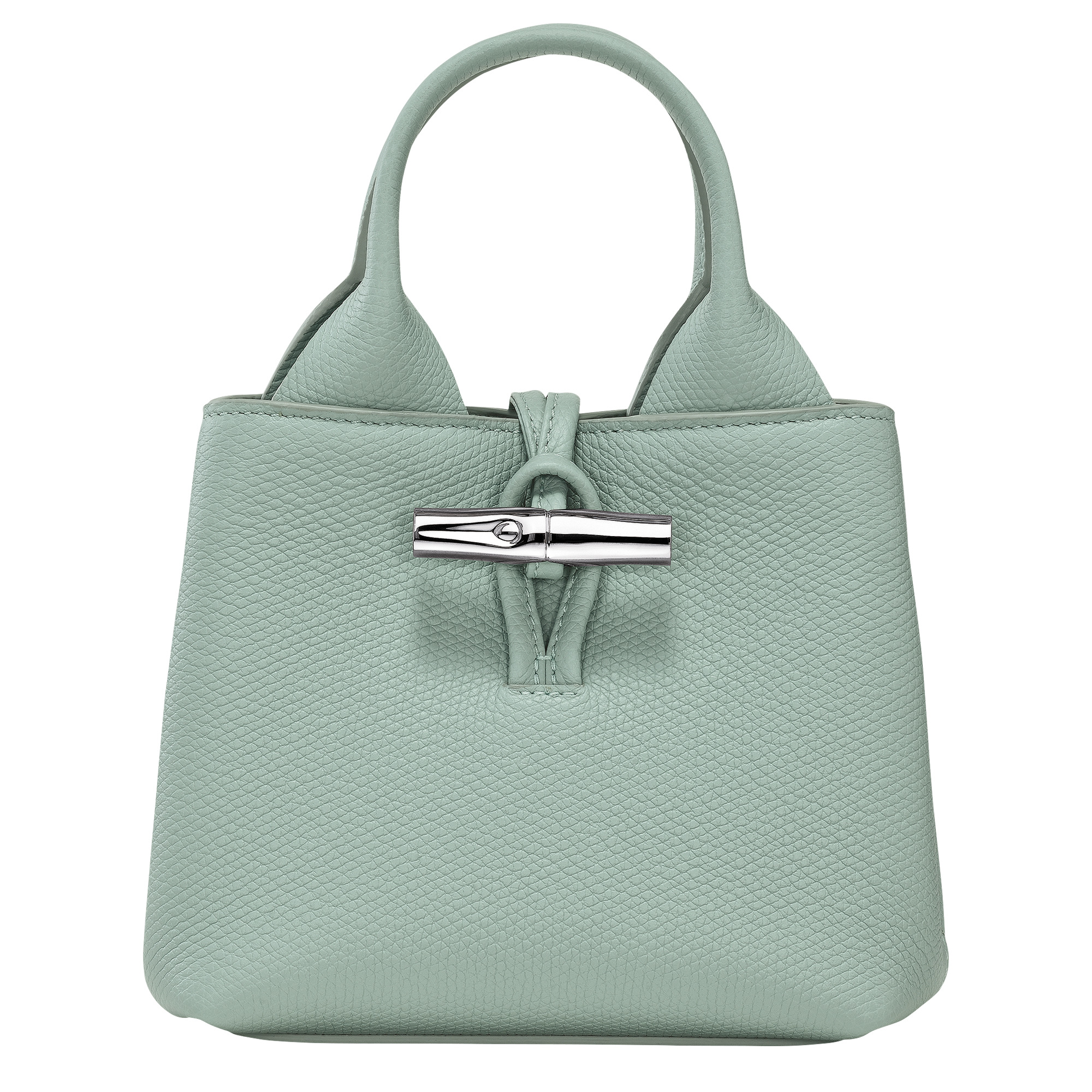 Le Roseau XS Handbag Celadon - Leather - 1