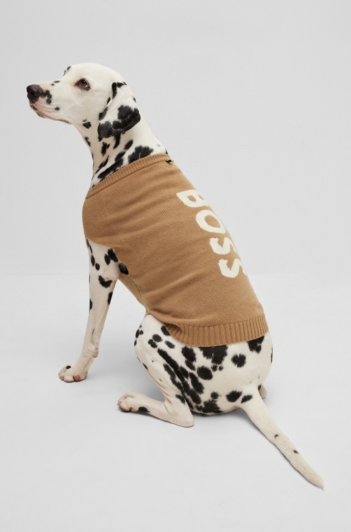 DOG SWEATER IN WOOL AND CASHMERE - 3