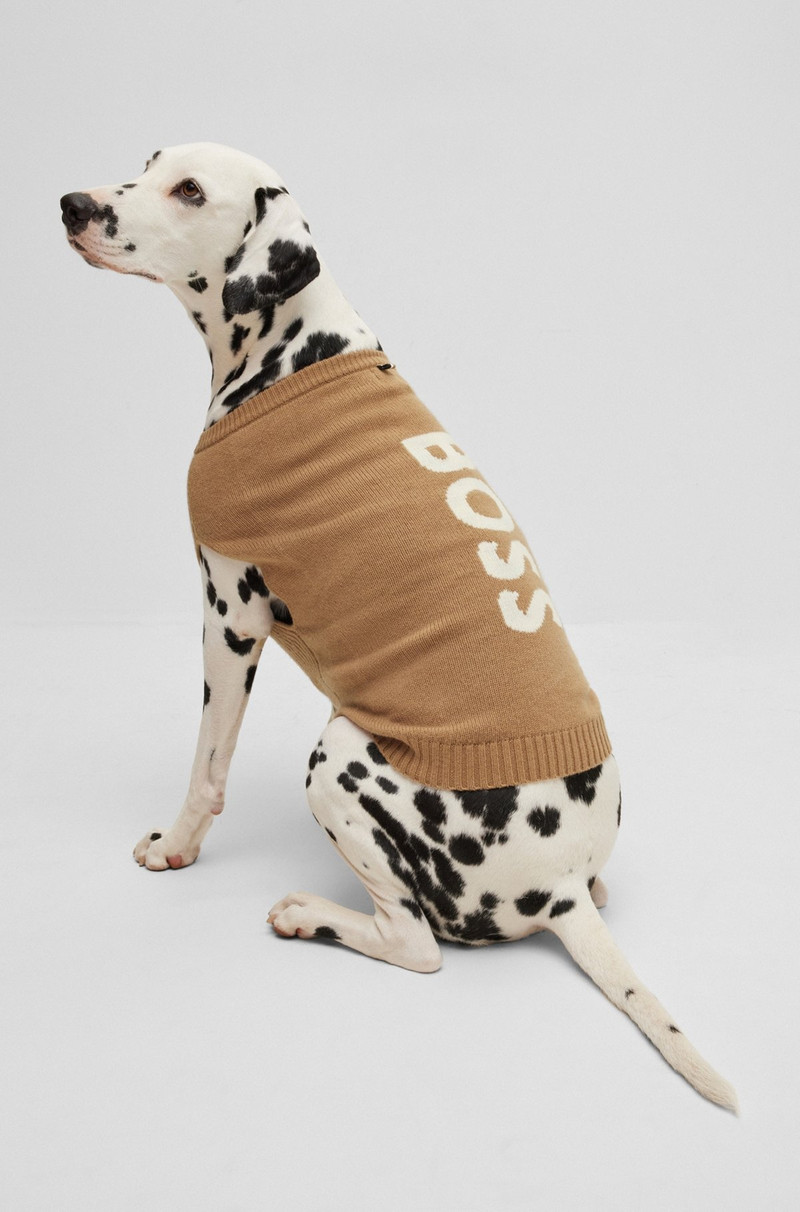 DOG SWEATER IN WOOL AND CASHMERE 3