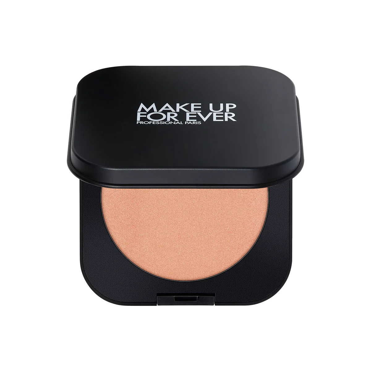 ARTIST BRONZER - 1
