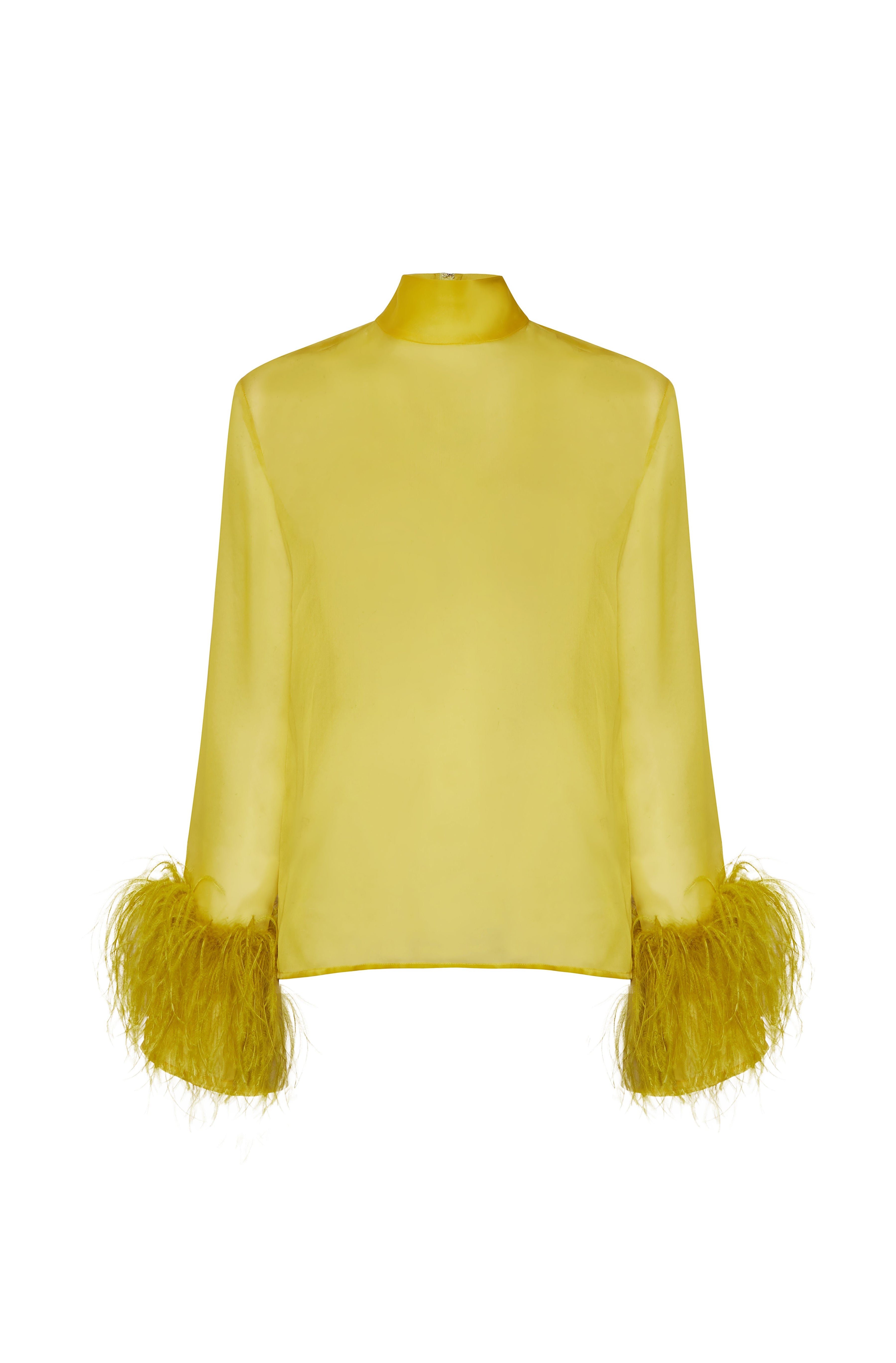 Organza Top With Feathers - 1