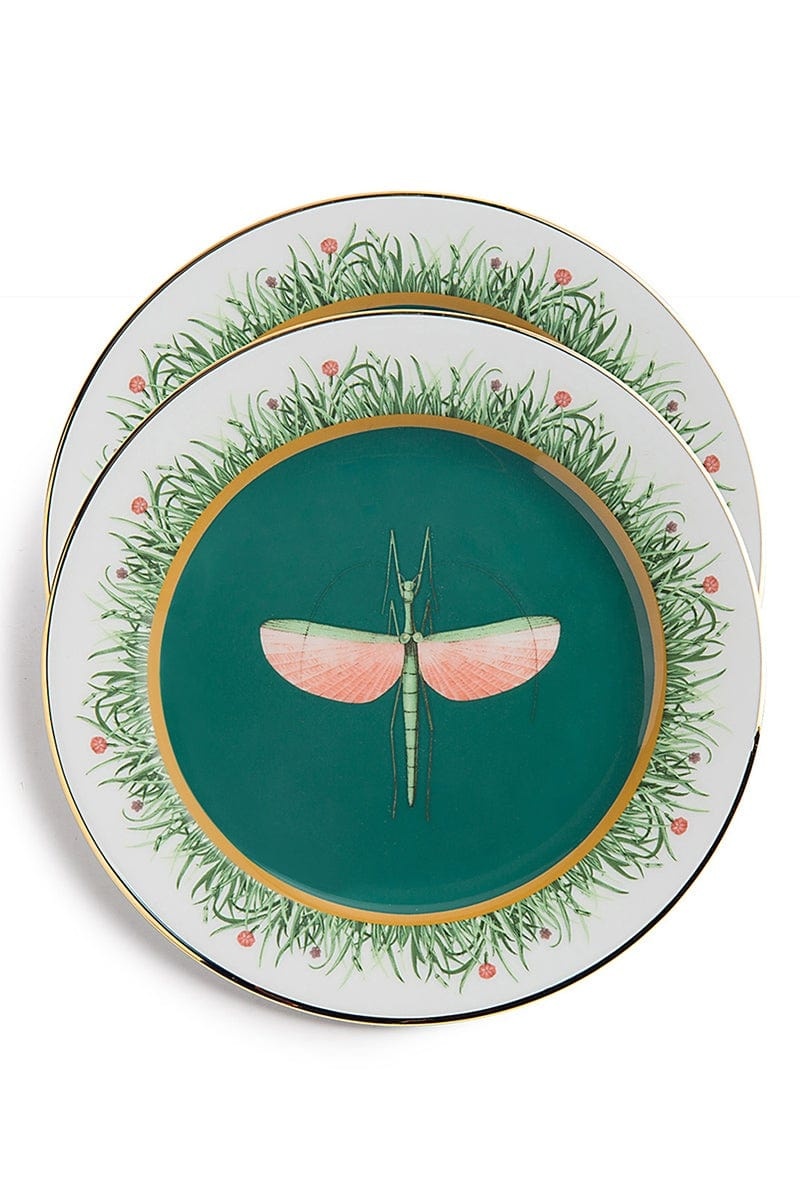 Desert Plates Set Of 6 - Multi - 7