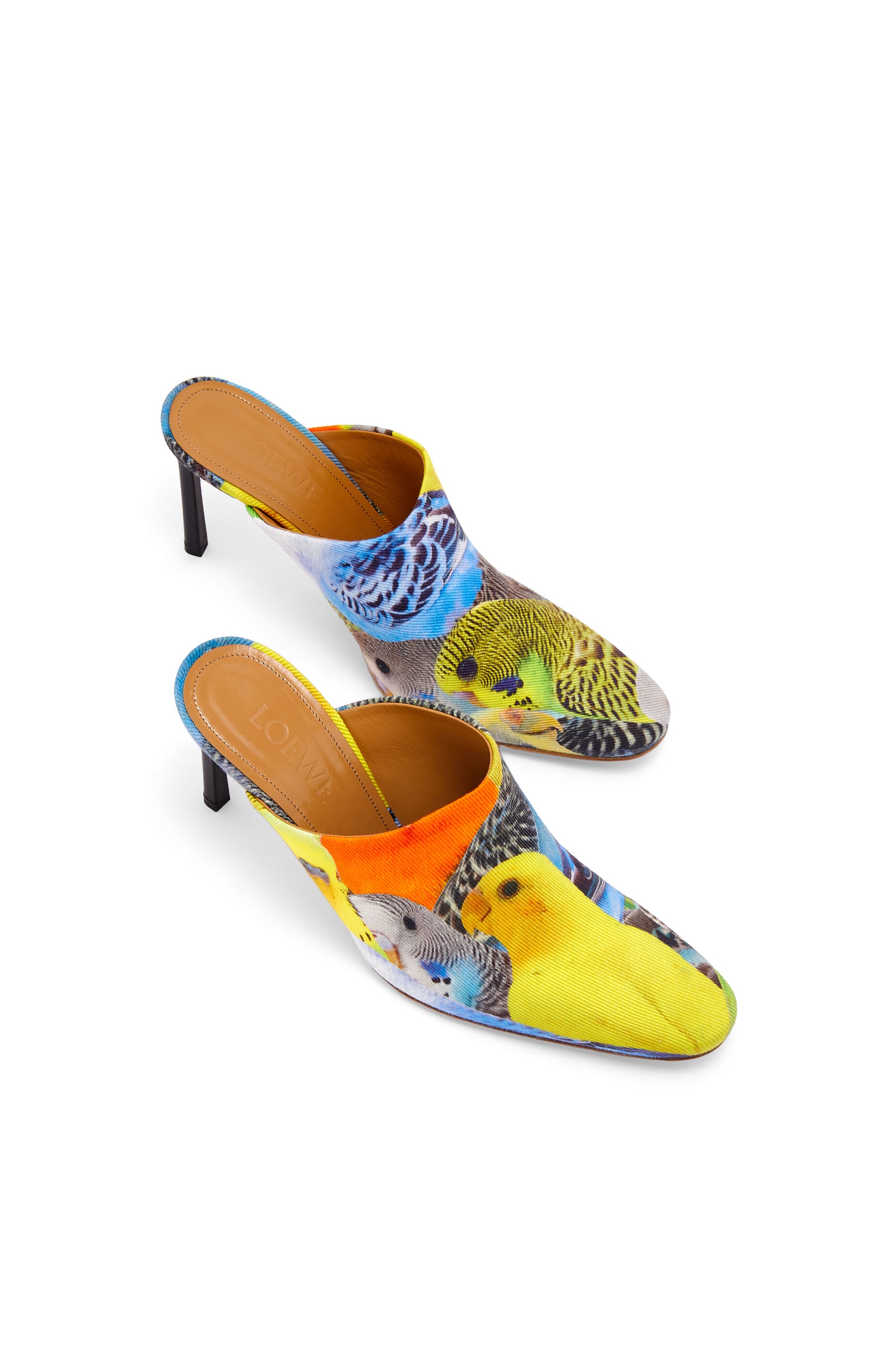Parrots mule in canvas - 3