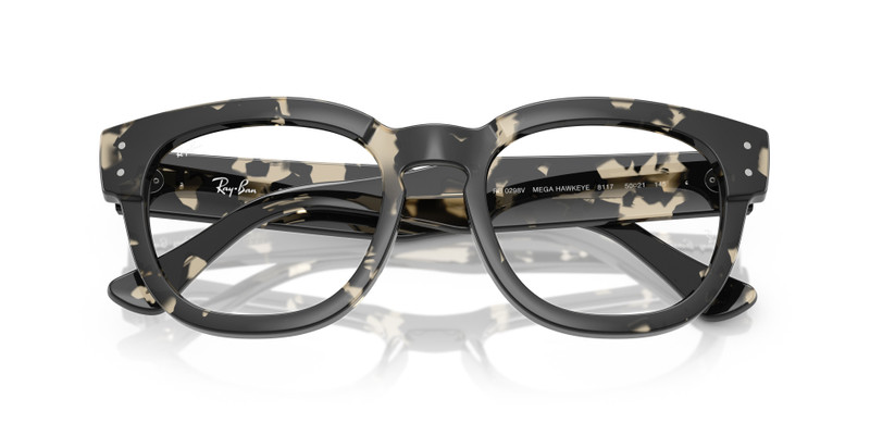 Ray-Ban MEGA HAWKEYE OPTICS outlook