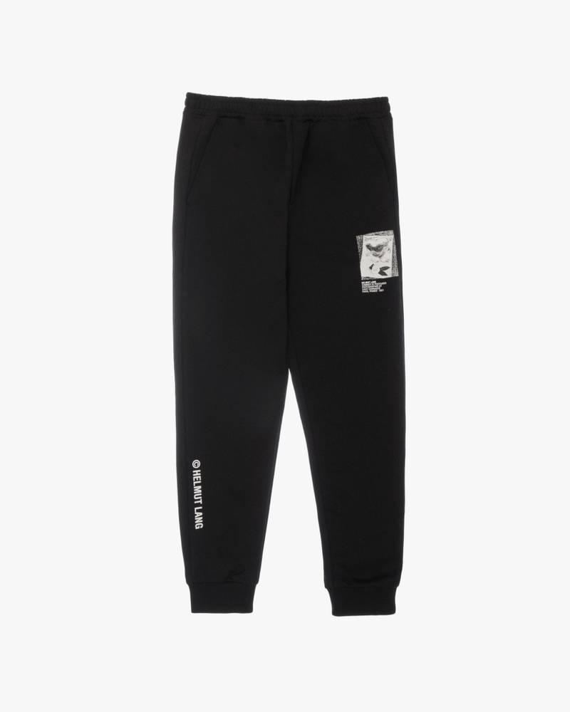 파리 JOGGER 1