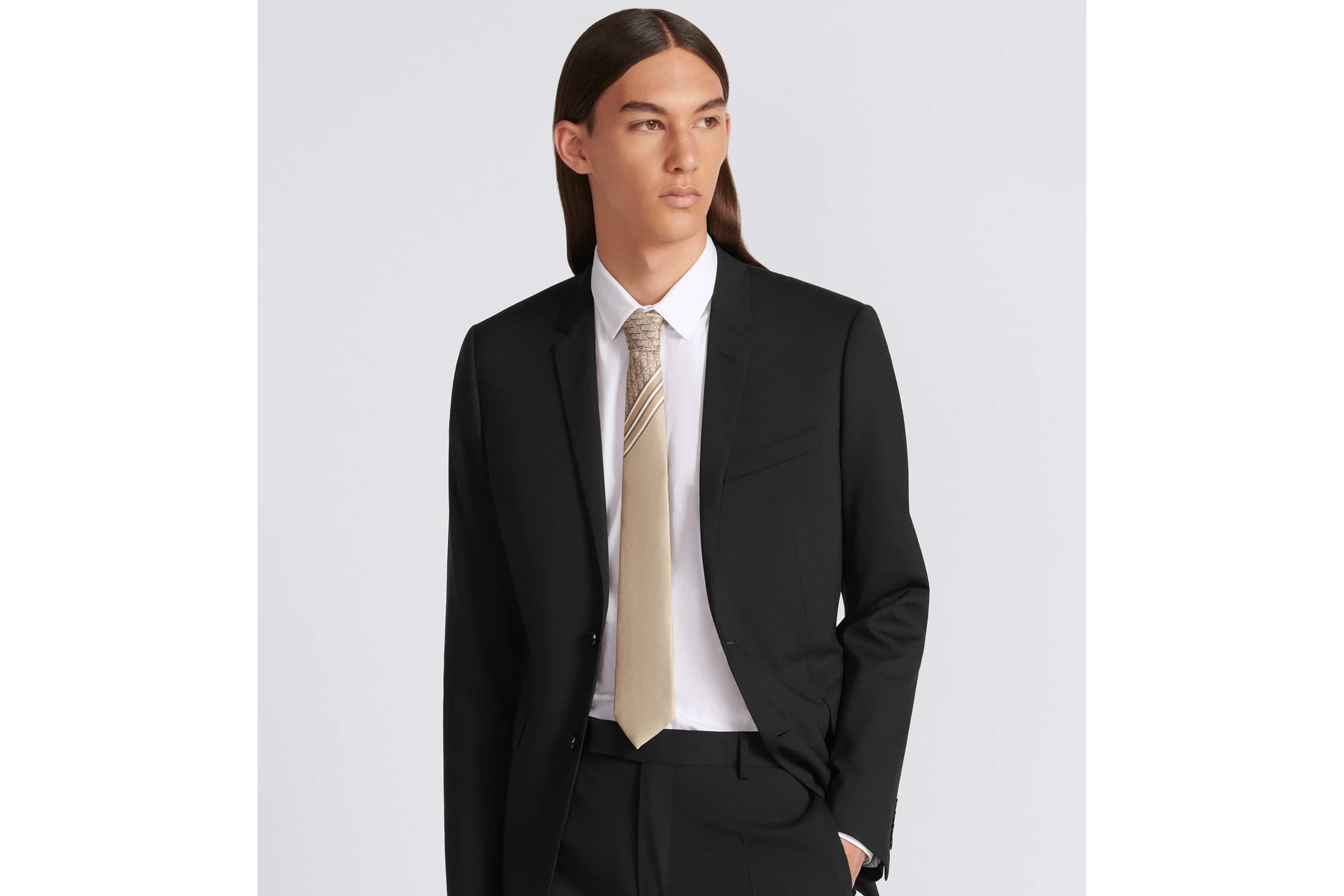Striped Dior Oblique Tie - 2