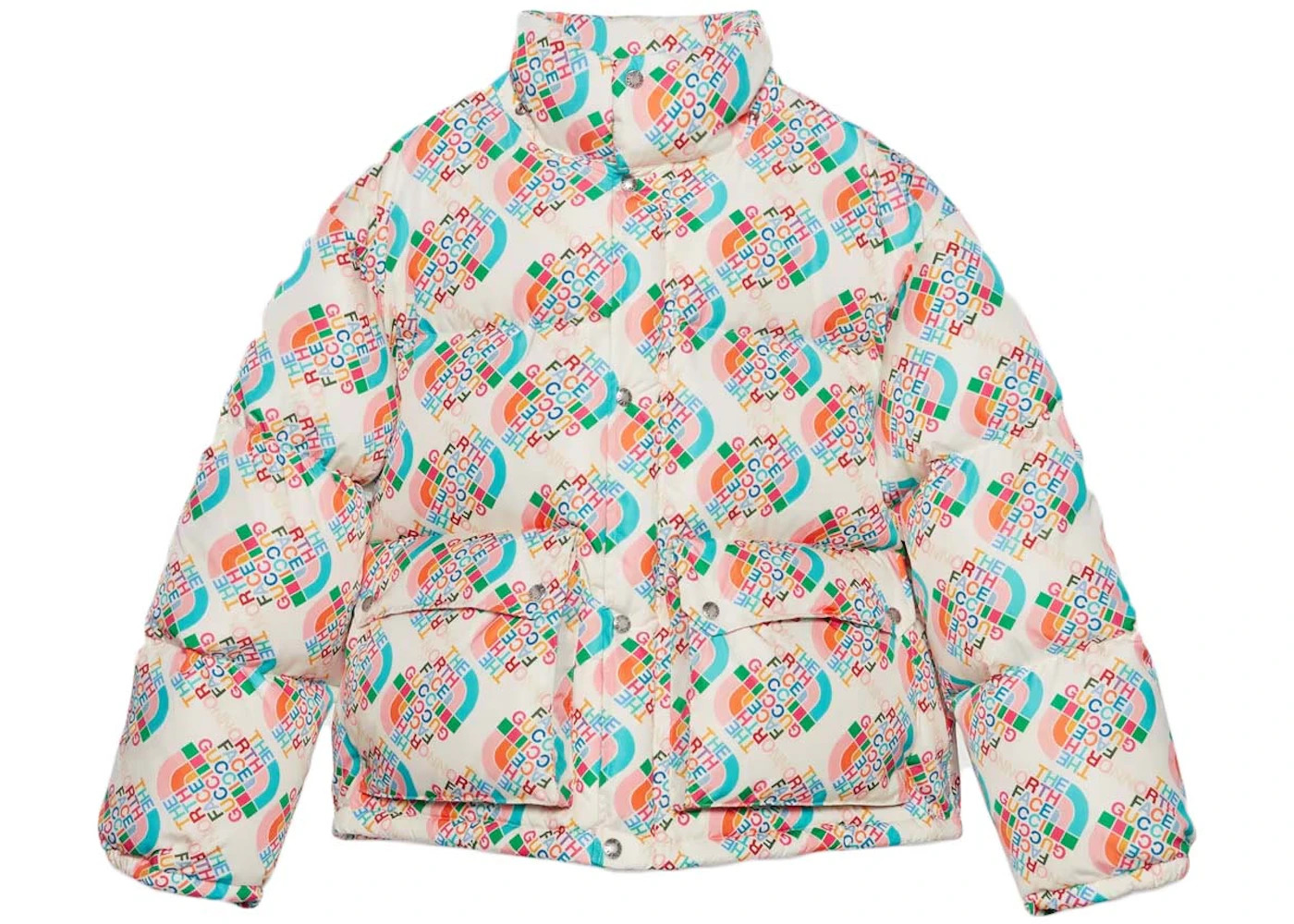 Gucci x The North Face Down Jacket Multicolor/Ivory - 2