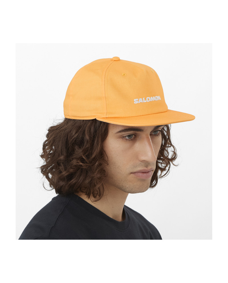 SALOMON CAP FLAT outlook