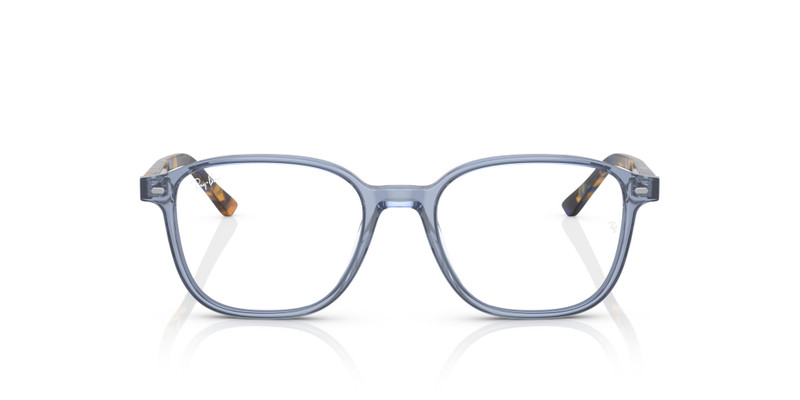 LEONARD OPTICS 4