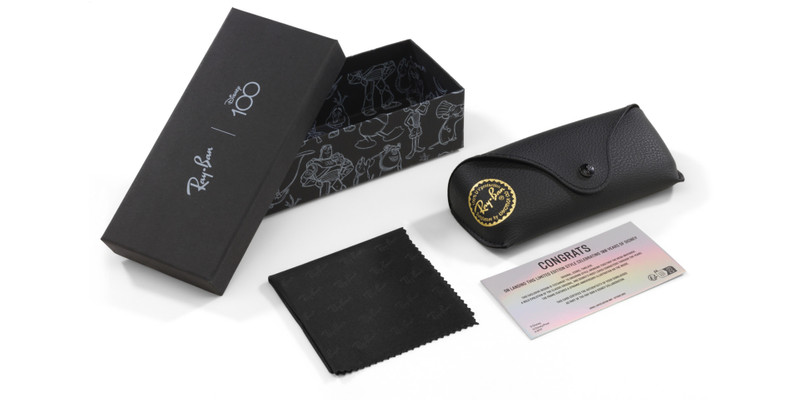 MEGA WAYFARER DISNEY 100TH ANNIVERSARY 8